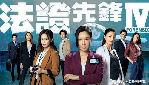 法证先锋4全集免费观看,揭秘罪案背后的真相与正义！