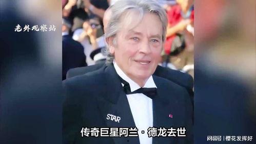 德龙明星,引领家电行业新潮流的璀璨明珠