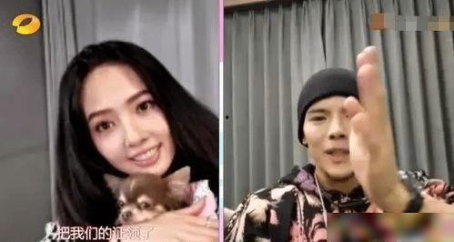 娱乐吃瓜郭碧婷在线观看,娱乐现场精彩瞬间大揭秘