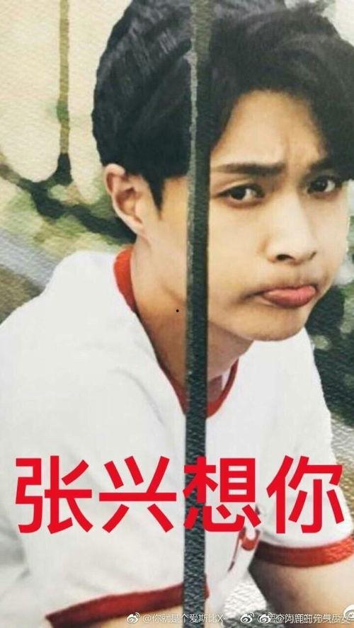 娱乐圈吃瓜表情包微博,揭秘明星幕后趣事